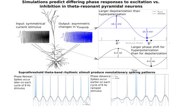 nonlinear graphical abstract
