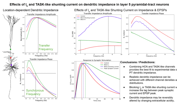 jnphys graphical abstract